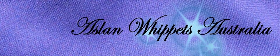 Aslan Whippets Australia